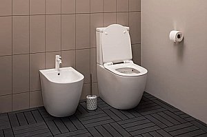 Унитаз-компакт Aquanet Rimless Cetus BL-102N-TPT с крышкой микролифт, с бачком, безободковый купить в интернет-магазине Sanbest