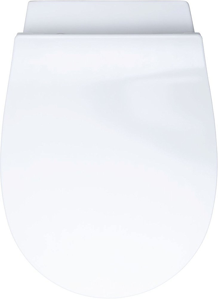 Унитаз Allen Brau Fantasy 4.11HC1.20 безободковый, с крышкой микролифт, белый купить в интернет-магазине Sanbest