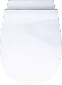 Унитаз Allen Brau Fantasy 4.11HC1.20 безободковый, с крышкой микролифт, белый купить в интернет-магазине Sanbest