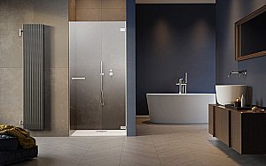 Душевая дверь Radaway Arta QL DWJ I 50-100 стекло прозраное/профиль хром купить в интернет-магазине Sanbest