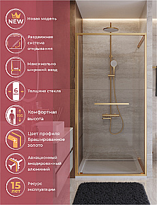 Душевая дверь Cezares LUX 120 B-FS-11-120-C-BORO стекло прозрачное/профиль брашированное золото купить в интернет-магазине Sanbest