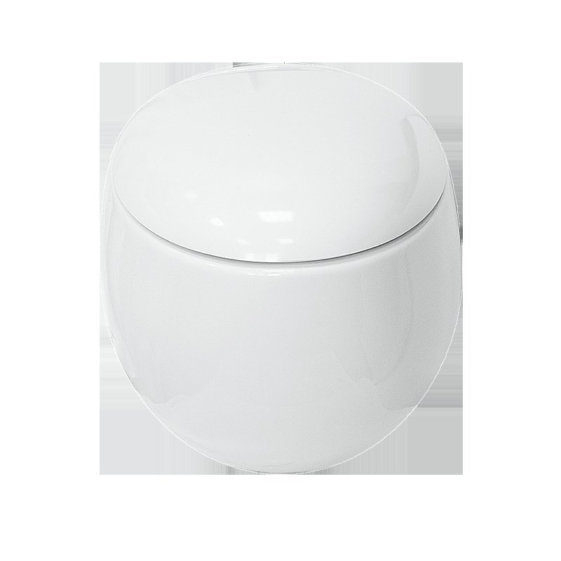 Унитаз Sanita luxe Ringo RNGSLWH0104R безободковый, с крышкой микролифт, белый купить в интернет-магазине Sanbest