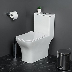 Унитаз-моноблок BelBagno NEON BB8617CPR-MN/SC белый, с крышкой микролифт, безободковый купить в интернет-магазине Sanbest