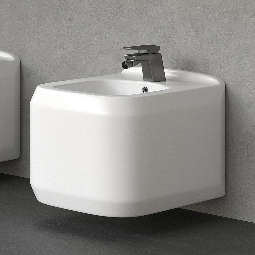 Биде Black&White Gravity 795WX белое купить в интернет-магазине Sanbest