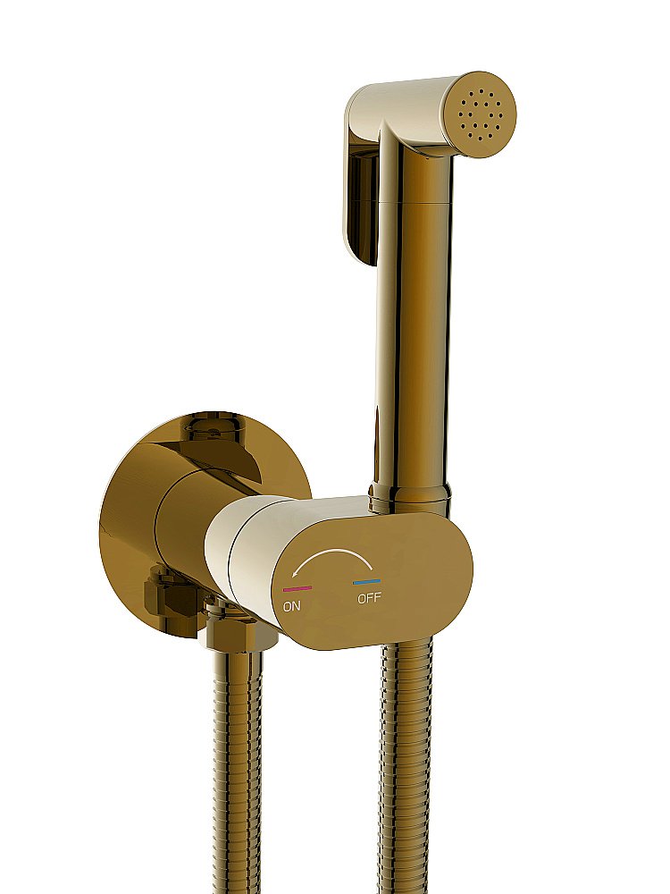 Гигиенический душ со смесителем WeltWasser HIGI R01 BR бронза купить в интернет-магазине сантехники Sanbest
