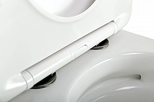 Унитаз подвесной CEZARES STYLUS-TOR CZR-6601-TH-TOR/SC безободковый, смыв торнадо, с крышкой микролифт, белый купить в интернет-магазине Sanbest