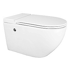Унитаз подвесной Azario AZ-102C белый, безободковый, с крышкой микролифт купить в интернет-магазине Sanbest