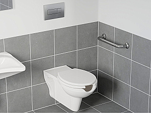 Унитаз Ravak Safe Rim X01930 белый, с крышкой микролифт, слив-торнадо купить в интернет-магазине Sanbest