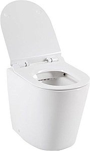 Приставной унитаз Aquanet Rimless Atago-F BL-104N-FST с крышкой микролифт, безободковый купить в интернет-магазине Sanbest