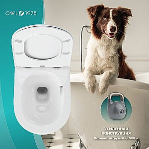 Унитаз подвесной OWL 1975 Wave Cirkel-H TOWLT190801 безободковый, с крышкой микролифт купить в интернет-магазине Sanbest