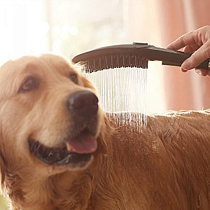 Душевая лейка для собак Hansgrohe DogShower 26640670 черный матовый купить в интернет-магазине сантехники Sanbest