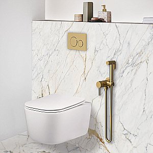 Гигиенический душ Vincea VHFW-101BG брашированное золото купить в интернет-магазине сантехники Sanbest