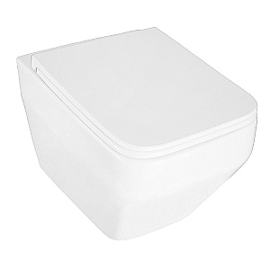 Унитаз подвесной Azario Moneo AZ-0062 UQ1 белый, безободковый, с крышкой микролифт, слив торнадо купить в интернет-магазине Sanbest