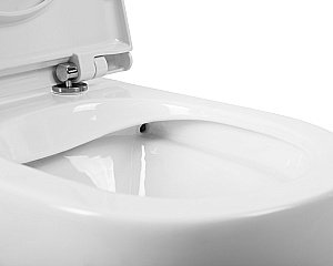 Унитаз-компакт BelBagno SFERA-R BB2141CPR-BB2141T безободковый, с бачком купить в интернет-магазине Sanbest