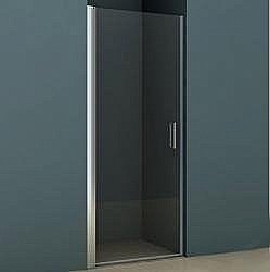 Душевая дверь Riho Novik Z101 100 купить в интернет-магазине Sanbest