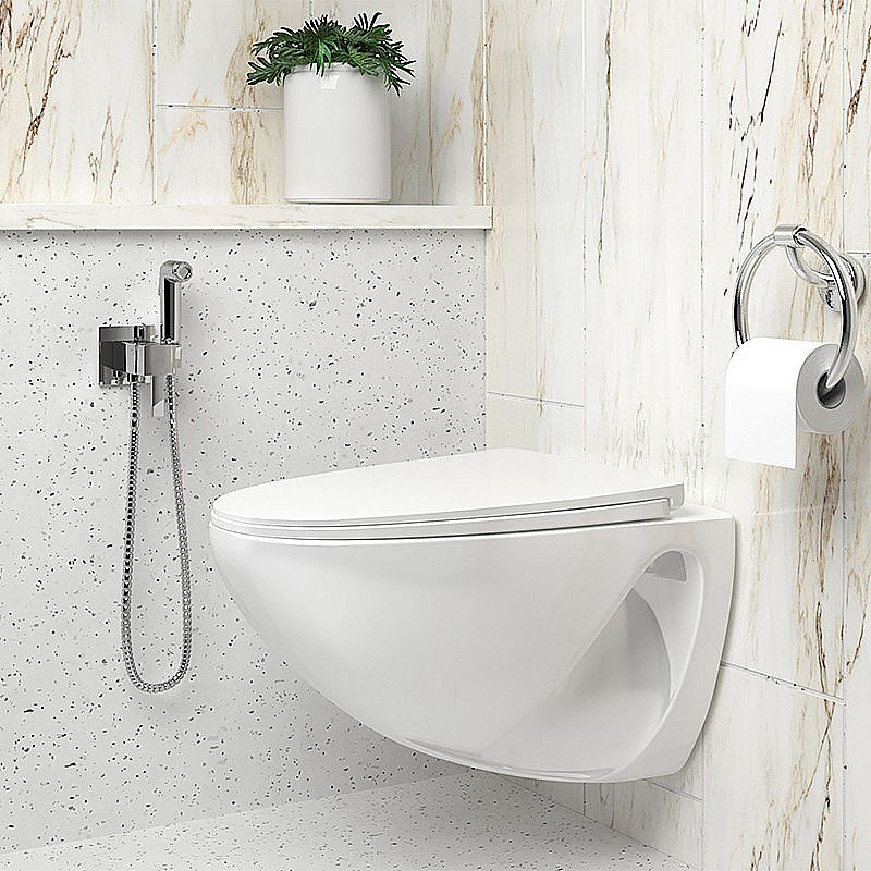 Гигиенический душ PAINI Kampana 53CR442QRU_ABS хром купить в интернет-магазине сантехники Sanbest