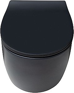 Унитаз Allen Brau Fantasy 4.11004.31 безободковый, с крышкой микролифт, черный купить в интернет-магазине Sanbest