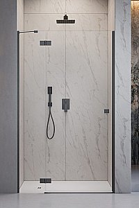 Душевая дверь Radaway Essenza 8 Brushed GunMetal DWJ 120 L стекло прозрачное/профиль брашированная оружейная сталь купить в интернет-магазине Sanbest