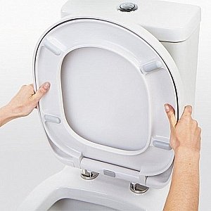 Унитаз-компакт IDDIS Calipso CAL2DSEi24 с бачком, с крышкой микролифт купить в интернет-магазине Sanbest