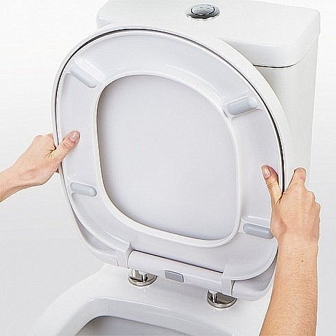 Унитаз-компакт IDDIS Calipso CAL2DSEi24 с бачком, с крышкой микролифт купить в интернет-магазине Sanbest