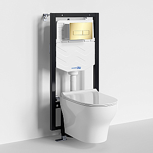 Унитаз подвесной WasserKRAFT Berkel 56TLT.010.ME.PG03.H001 безободковый, с инсталляцией Vils 56, с крышкой микролифт, белый/кнопка золото глянцевое купить в интернет-магазине Sanbest