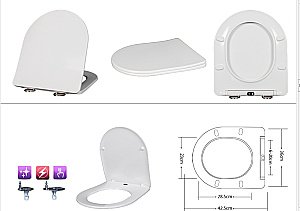 Унитаз подвесной Taliente Amato AM25010 Grigio безободковый, с крышкой микролифт, матовый серый купить в интернет-магазине Sanbest