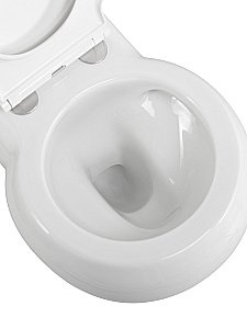 Унитаз подвесной Cezares GRANDE CZR-308-TH-TOR/SC белый, безободквый, смыв торнадо купить в интернет-магазине Sanbest