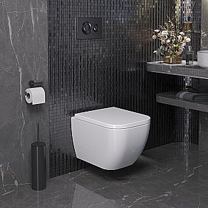 Унитаз подвесной Ambassador Forsa 243K19003S с крышкой микролифт, белый купить в интернет-магазине Sanbest