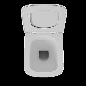 Унитаз подвесной с инсталляцией D&K Quadro DS1511601 белый/кнопка белая, безободковый, с крышкой микролифт купить в интернет-магазине Sanbest