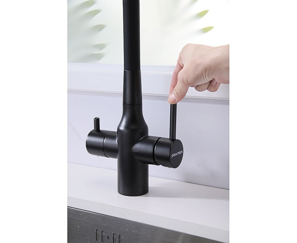 Смеситель для кухни Paulmark Salix Sa213419-BLM черный  купить в интернет-магазине сантехники Sanbest