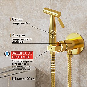 Гигиенический душ Paini Castello Round CAPJ442R золото брашированное купить в интернет-магазине сантехники Sanbest