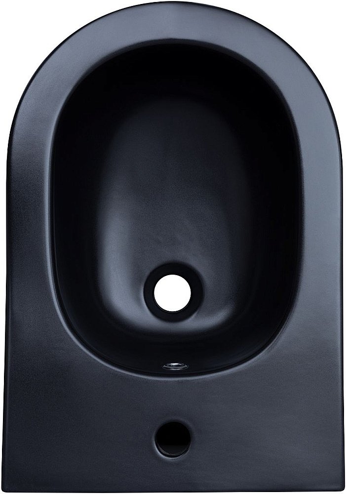 Биде подвесное Aquanet Lake 316464 черный матовый купить в интернет-магазине Sanbest