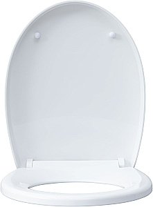 Унитаз подвесной Aquanet ZV-1 белый с крышкой микролифт, безободковый, слив-торнадо купить в интернет-магазине Sanbest