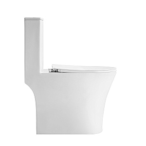 Унитаз моноблок Grossman Thin Rim GR-5607SQ белый глянцевый, с крышкой микролифт, слив-торнадо купить в интернет-магазине Sanbest