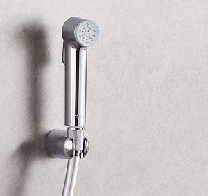 Душевой гарнитур Grohe Tempesta-F Trigger Spray 26353000 купить в интернет-магазине сантехники Sanbest