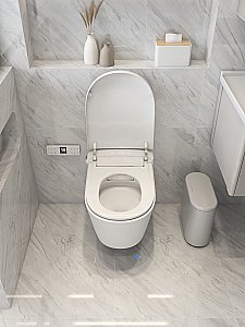 Электронный унитаз-биде ABBER Bequem AC1121S белый, с крышкой микролифт купить в интернет-магазине Sanbest