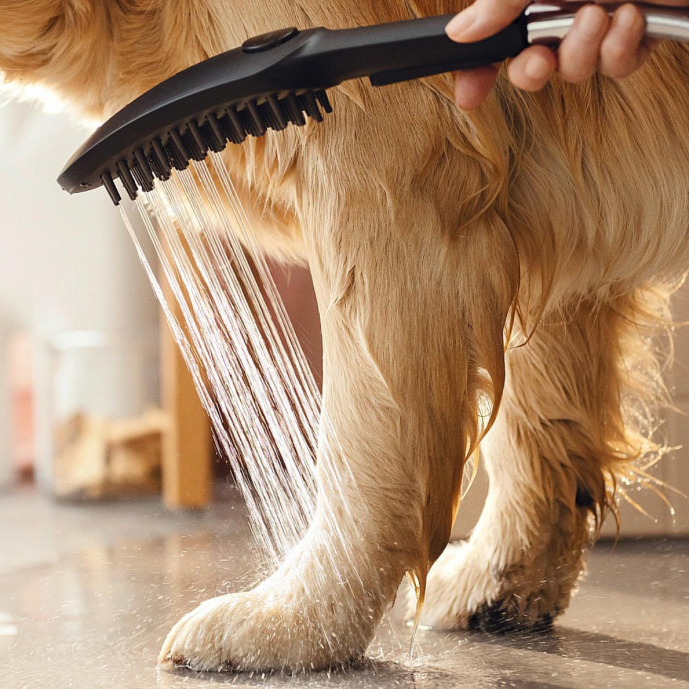 Душевая лейка для собак Hansgrohe DogShower 26640670 черный матовый купить в интернет-магазине сантехники Sanbest