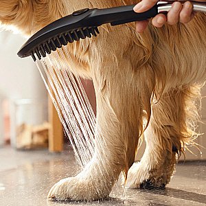 Душевая лейка для собак Hansgrohe DogShower 26640670 черный матовый купить в интернет-магазине сантехники Sanbest