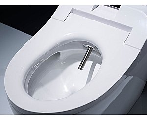 Унитаз-биде Timo TE-721 с крышкой микролифт купить в интернет-магазине Sanbest