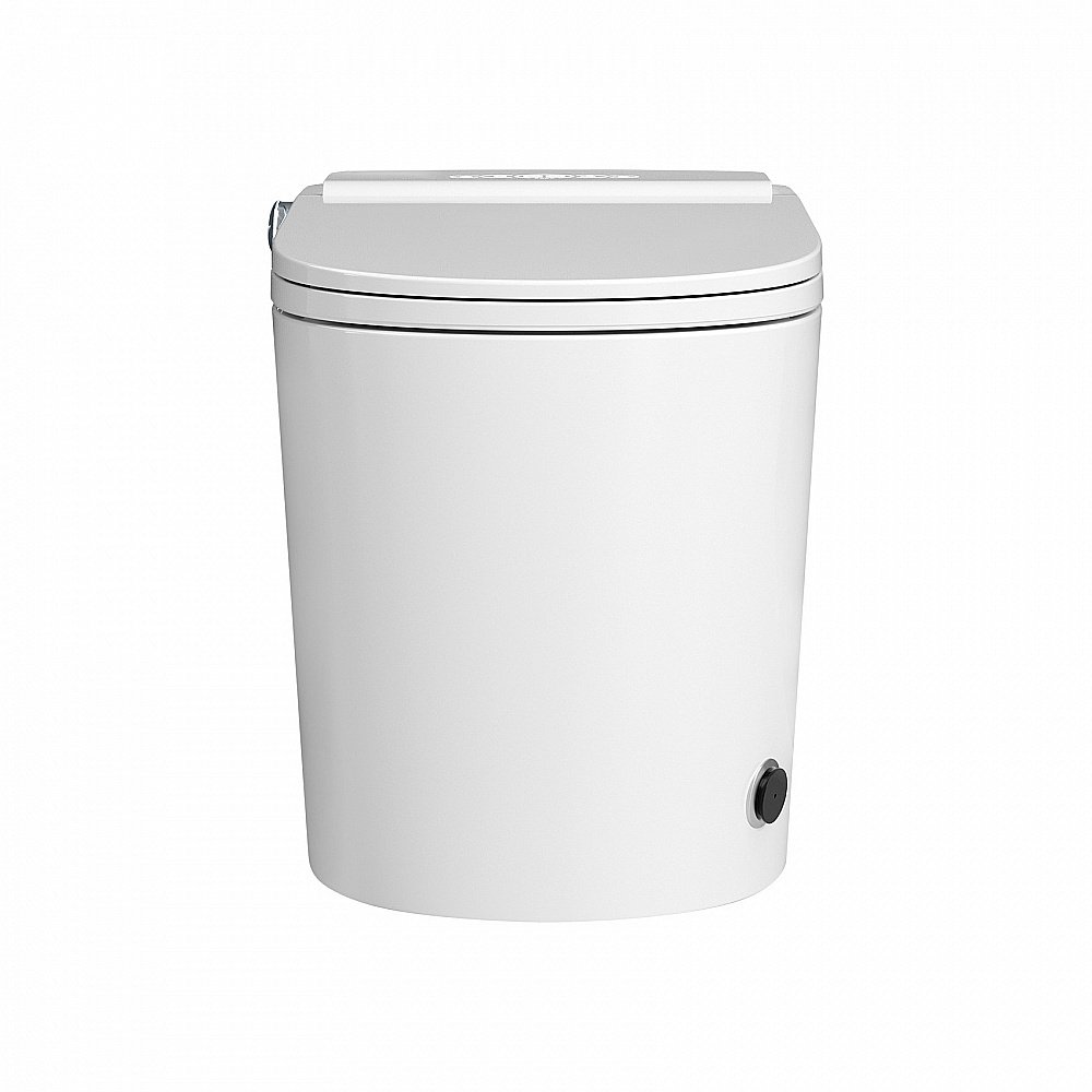 Унитаз-биде приставной ABBER Bequem AC1117S электронный, импульсный смыв, с крышкой микролифт купить в интернет-магазине Sanbest