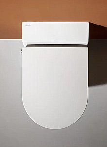 Унитаз-биде подвесной Laufen Cleanet Navia 8.2060.1.400.000.1 купить в интернет-магазине Sanbest