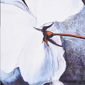 Текстильная шторка для ванны WasserKRAFT Ammer SC-70102 купить в интернет-магазине сантехники Sanbest