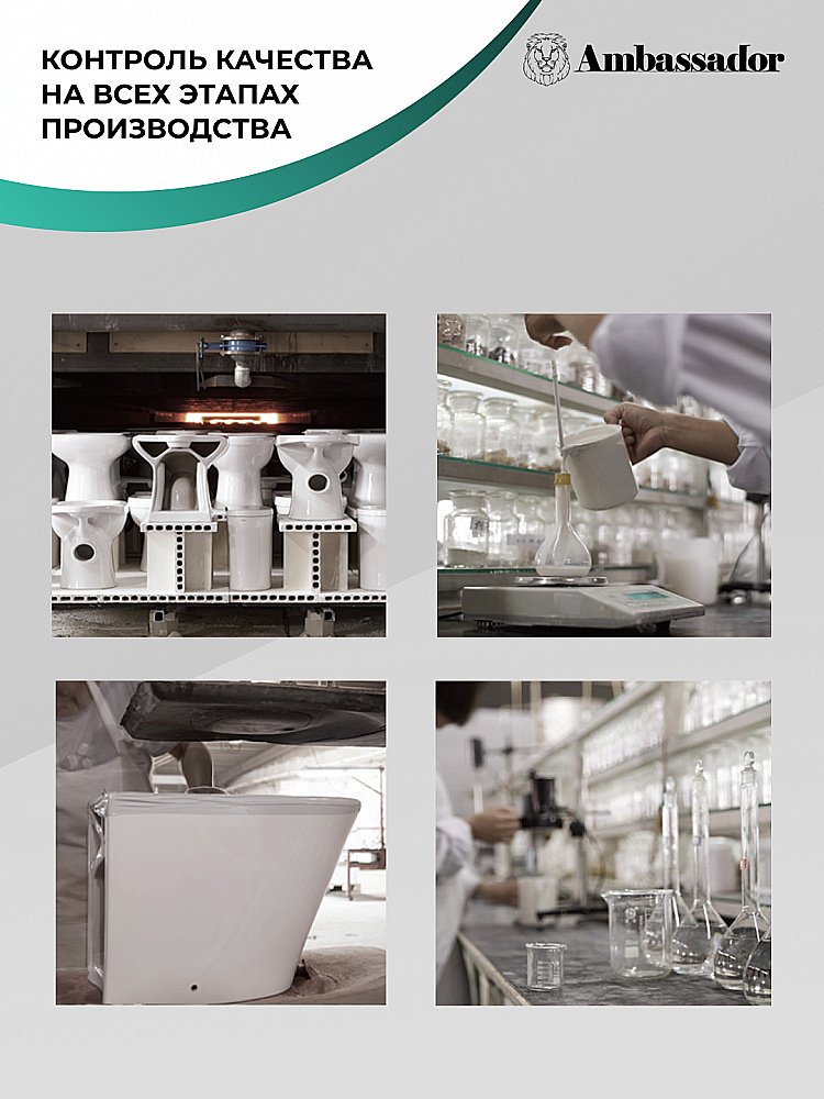 Унитаз подвесной Ambassador Elysium 183K19002RS безободковый, с крышкой микролифт, белый купить в интернет-магазине Sanbest