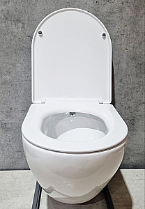Унитаз подвесной CeramaLux TR-0199BD безободковый, функция биде, с крышкой микролифт, белый купить в интернет-магазине Sanbest