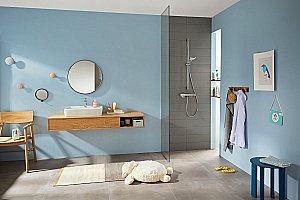 Термостат для душа Hansgrohe Ecostat E 15773000 купить в интернет-магазине сантехники Sanbest