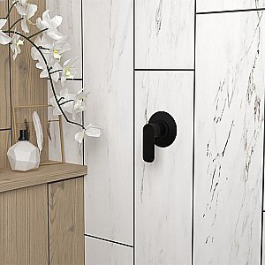 Смеситель для душа PAINI Nove 09YO690 черный купить в интернет-магазине сантехники Sanbest