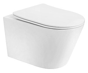 Унитаз Boheme Avva 973-SET-MW белый матовый, безободковый, смыв торнадо, с крышкой-микролифт купить в интернет-магазине Sanbest