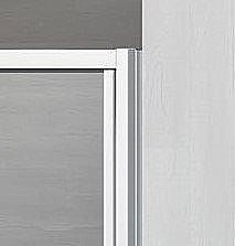 Душевая дверь Radaway Evo DW 90 купить в интернет-магазине Sanbest