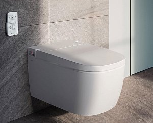 Унитаз подвесной Vitra V-Care Basic 5674B003-6193 безободковый, с крышкой микролифт купить в интернет-магазине Sanbest