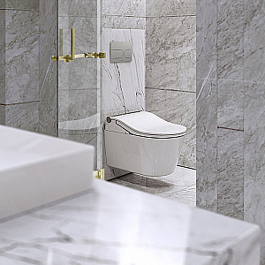 Унитаз подвесной TOTO RP CW542ERY с крышкой-биде WASHLET TCF801CG безободковый, слив торнадо, белый купить в интернет-магазине Sanbest